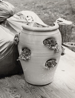 Strawberry Pot